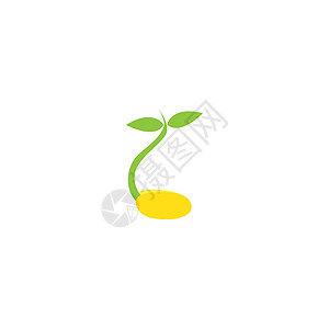 无豆芽插图食物饮食大豆营养植物农业剪贴画叶子烹饪标识图片