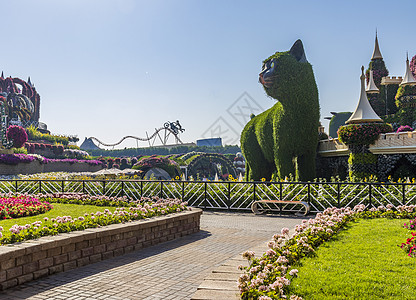 迪拜 阿联酋迪拜  2020年6月3日 迪拜奇迹花园的花卉和景观美化设施观光季节旅行安装园林旅游植物学花瓣地标数字图片