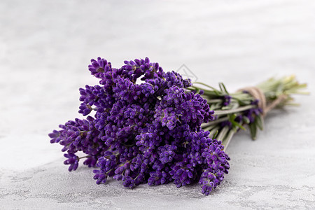 灰石本底的淡紫色紫色园艺植物装饰薰衣草房子桌子疗法芳香陶瓷图片