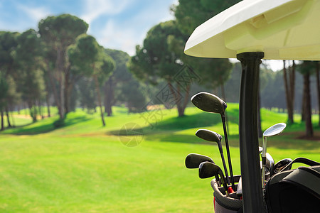 高尔夫伞在一个有松树的美丽高尔夫球场上 高尔夫球车后面的高尔夫球袋中的高尔夫球杆特写背景