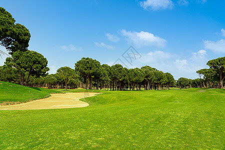 环绕着土耳其贝莱克松树的美丽高尔夫球场风景高尔夫草地游戏阳光太阳课程高尔夫球蓝色晴天全景图片