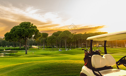 日落时 在美丽的高尔夫球场上乘坐高尔夫高尔夫车课程游戏太阳球道松树运动背光车辆场地闲暇图片