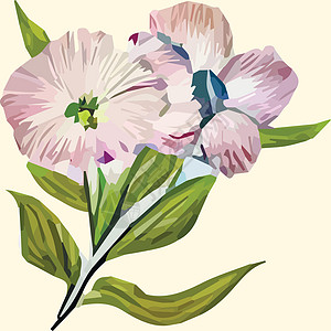 配有彩色花朵的古卡 矢量插图 美丽的热带植物在蜜蜂背景上的花束作品贴纸草药香味婚礼花园礼品花卉图案卡通片图片