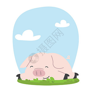 长在草地卡通画上的可爱小猪插图家庭快乐微笑跑步哺乳动物栅栏农家场地母亲图片