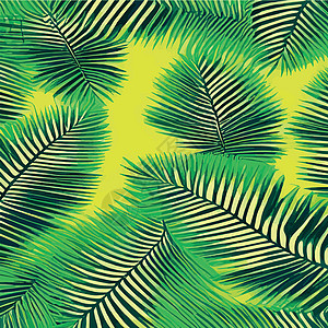 印刷多彩热带雨林 棕榈叶和其他植物 阿洛哈纺织品收集 茂密的热带森林装饰荒野树木动物插图异国杂草绿色植物灌木丛丛林图片
