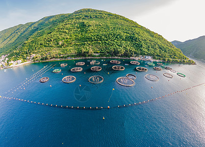 地中海的牡蛎养殖场 黑山 科托地平线养殖港口美味贝类收成支撑海滩水产农业图片