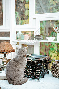破旧黑衣室内的猫和老式打字机乡愁房子新闻业艺术编辑写作作者古董机器博客图片