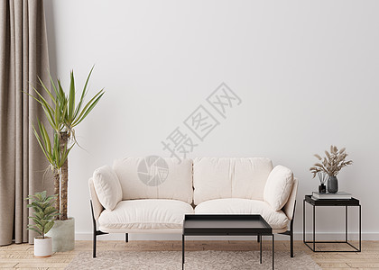 现代客厅的空白墙 模拟现代斯堪的纳维亚风格的室内装饰 免费复制图片 海报 文本或其他设计的空间 沙发 植物 蒲苇 3D 渲染背景图片