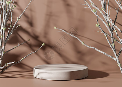 棕色背景上有树枝的圆形讲台 产品 化妆品展示台 自然模拟 美容产品的基座或平台 空旷的场景 3D 渲染图片
