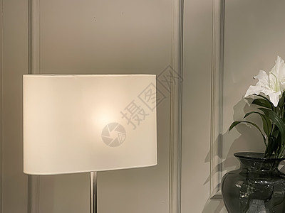 室内设计和照明装饰 优雅的现代灯作为家庭装饰品产品 家具细节奢华房间灯光材料节能配件天花板灯泡地面项目图片