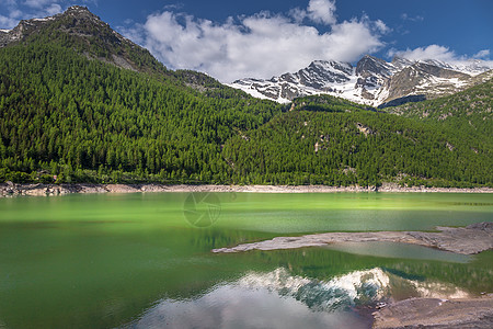 意大利 大帕拉迪索阿尔卑斯山高山湖和春天的戏剧性地貌野花旅行地标风景风光草地旅游田园日落目的地图片