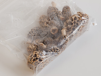 Morel 蘑菇美食家食用菌熟食宏观褐色食物健康饮食菌类植物学图片