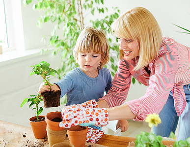 花卉栽培植物 园子和小儿子一起温室; 在温室里图片