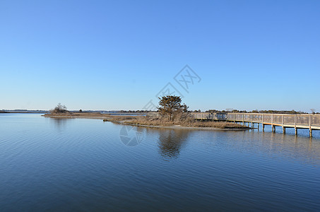 含棕色草和海岸的湖泊或河流海洋天空支撑海滩池塘湿地植物图片