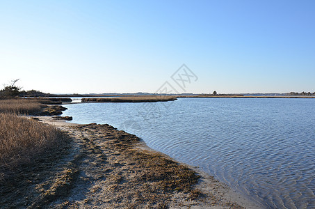 含棕色草和海岸的湖泊或河流海滩湿地支撑海洋天空植物池塘图片