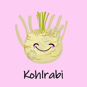 Kohlrabi 植物 收获蔬菜 矢量平面图标 I 说明图片