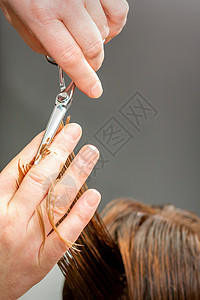 理发师剪了一个黑发女人的头发 发型师正在一家专业美发沙龙为女性客户剪头发 特写顾客女士工具照片工作剪刀梳子美容师造型师理发图片