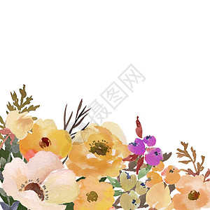 水彩花框背景 白色背景下的孤立插图植物花背景