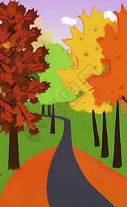 有树木的秋天风景太阳场地叶子全景橙子森林木头草地公园天空图片
