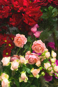 红色 粉红和黄色树荫花玫瑰 以油漆形式发色图片