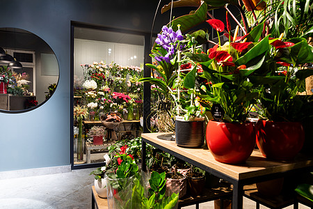 一家高级花店的内部 里面有盆栽植物和一台放鲜切花和花束的冰箱图片