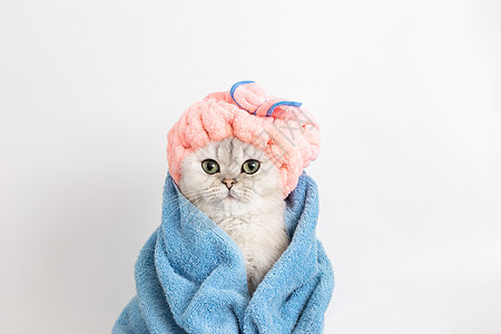 洗完澡后 穿着蓝色毛巾包在头上的粉红色大衣帽上图片