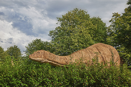 丹麦动物园的巨型龙龙 看起来像一个真正的图片