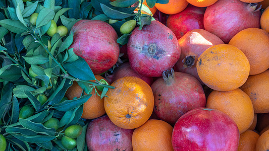 树枝上石榴 橙子和橄榄的果实背景图片
