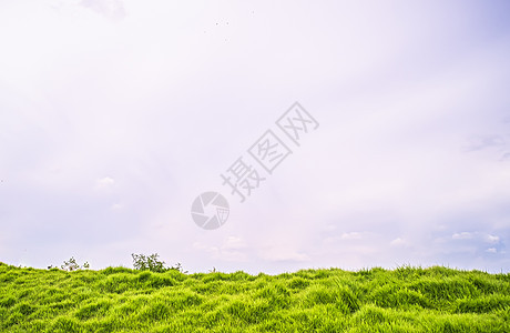 Meadow田地山丘 有白云和蓝天空 美丽的夏季风景图片
