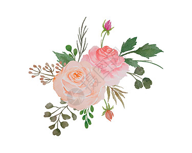 花椰花花 花卉安排插图说明绿色植物装饰树叶叶子玫瑰邀请函水彩风格婚礼印刷图片