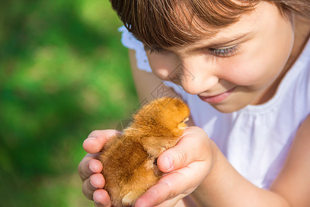 孩子手里握着一只鸡 有选择的专注世界宏观农场喜悦鸭子拥抱女孩朋友们家庭婴儿快乐的高清图片素材