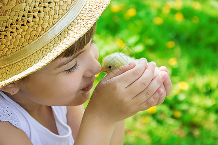 孩子手里握着一只鸡 有选择的专注喜悦生活新生儿食物关爱花园帽子婴儿朋友们女孩夏天高清图片素材