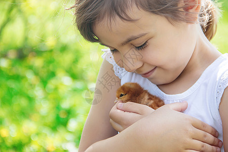 孩子手里握着一只鸡 有选择的专注小鸡橙子婴儿食物女孩世界喜悦新生儿拥抱农场图片