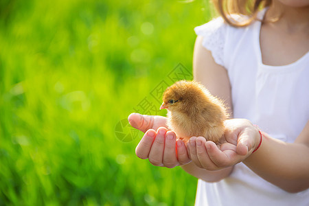 孩子手里握着一只鸡 有选择的专注家庭新生儿生活鸭子花园婴儿孩子们农场女孩关爱帽子高清图片素材