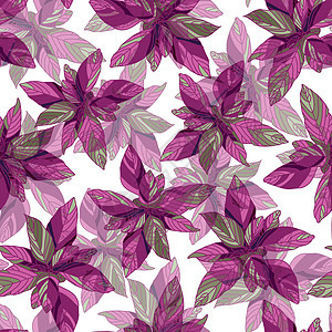 苋菜花图案 灿烂的夏日花卉图案 紫色的 矢量图 植物插图背景图片