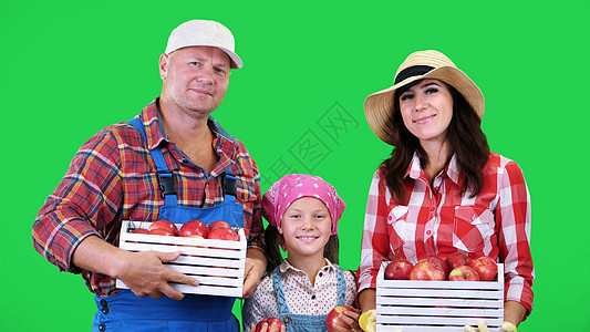 农民家庭的画像 他们手里拿着装有红色成熟有机苹果的木箱 面带微笑 在工作室的绿色背景中 健康食品到您的餐桌园丁成人孩子食物园艺国图片
