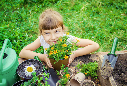 花园餐厅一个小女孩在种花 年轻的园丁 有选择的专注青菜洋甘菊木板植物地球框架牵牛花孩子家庭桌子背景