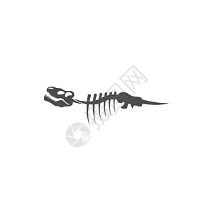 恐龙化石图标设计插图动物骨骼恐龙古生物学爬虫侏罗纪黑色颅骨图片