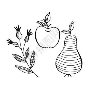 苹果梨罗西普面条手画的轮廓 白色背景图片