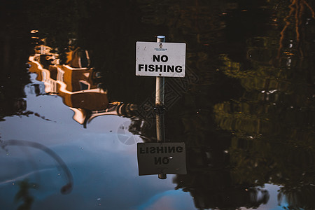 无捕鱼标志野生动物运河活动公园翠鸟渔夫图片