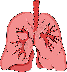 人类解剖肺矢量彩色 卡通图标 手画内部图片