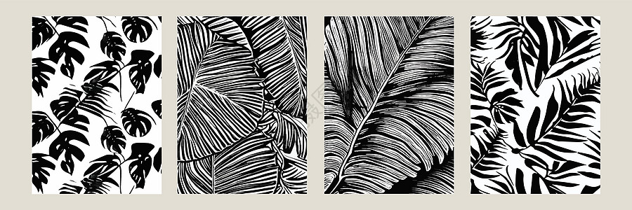 设置异国情调 将无缝模式的黑白 时髦的抽象矢量装饰背景 热带棕榈叶打印邀请函植物学植物森林棕榈纺织品礼品艺术丛林图片