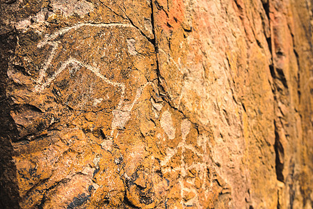 动物的考古岩石雕刻 石上佩特罗格林斯图片