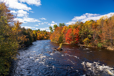 萨拉纳克河流经纽约州阿迪隆达克斯多色瀑布地貌农村叶子风景季节山坡橙子森林木头颜色图片