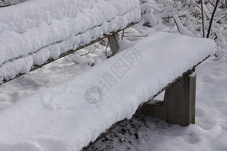 在寒冷的日子里 一条路在白雪皑皑的冬季公园里延伸到远处 没有人 城市公园的人行道上有光秃秃的树枝 铺着雪的木凳 户外散步的地方森图片