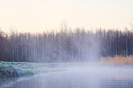 寒冷的夜晚后清晨 从大自然温暖的湿地和太阳光中雾雾而出风景草地日出季节阳光场地日落雾水蓝色树木图片
