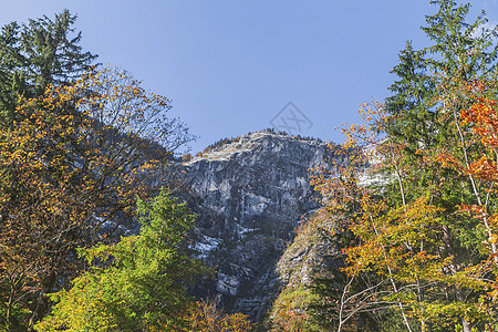 秋季风景 斯洛文尼亚阿尔卑斯山山脉图片