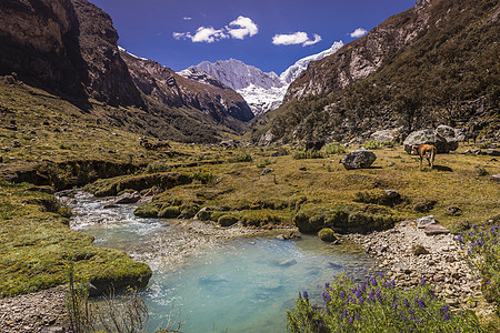 秘鲁安卡什的安第斯山脉下雪 秘鲁和Huascaran河马斯里夫环境天空日落冰川目的地地标风景旅行国际旅游图片
