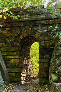 纽约市中央公园森林 有石形拱门隧道图片