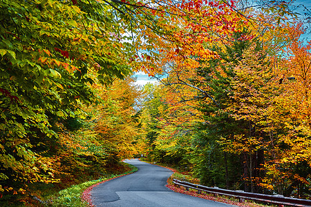 通向美丽的山峰的佛蒙特州公路 流落着橙色森林图片